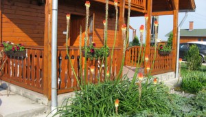 Horgászat Horgászat